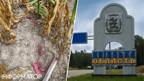На Київщині виявили близько 20 протипіхотних мін «Пелюстка» біля Гоголева