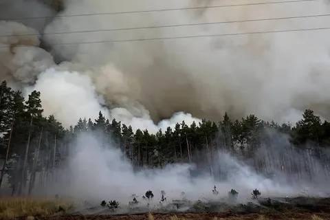 Лісова пожежа під Києвом: вогонь пройшов 2500 гектарів, гасіння триває