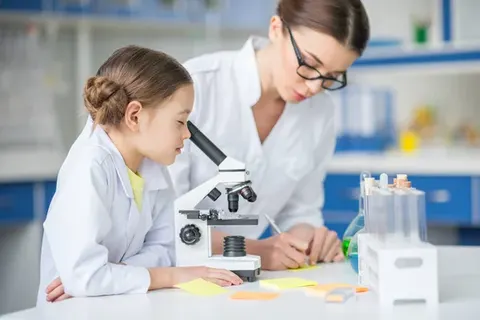 У Києві бракує охочих стати вчителями фізики та хімії: лише 29 заяв на дві спеці