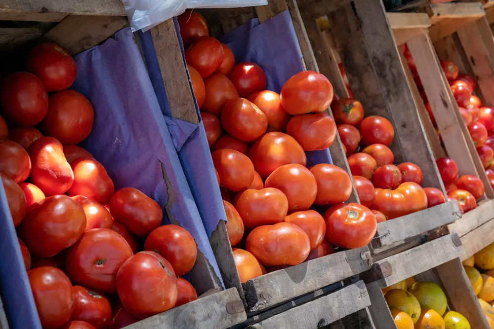 Продуктові ярмарки у Києві: де купити свіжі продукти на вихідних
