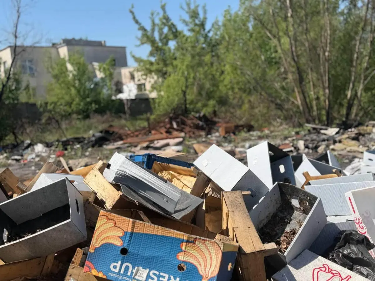 Київ розробляє новий алгоритм ліквідації стихійних звалищ