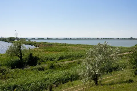 Одеса закликає економити воду через обміління Дністра